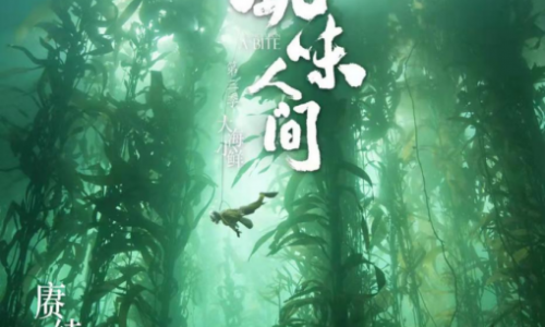 《风味人间3·大海小鲜》完美收官 四海为伴代代相传
